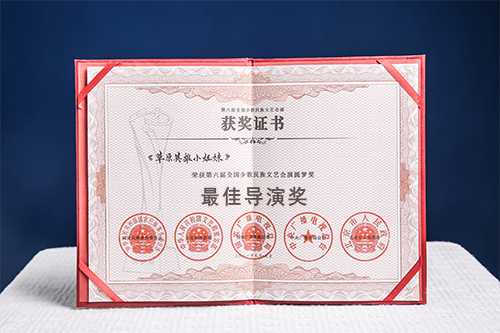 最佳导演奖.jpg 最佳导演奖.jpg